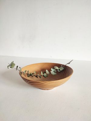 Coupe Frêne
