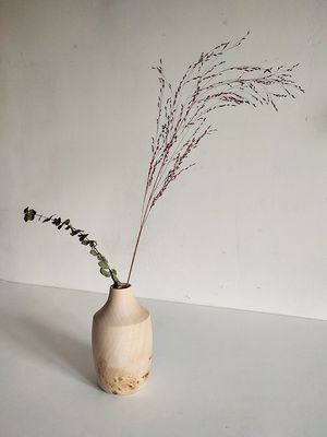 Vase Peuplier avec insert