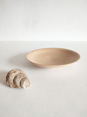 Assiette Hêtre
