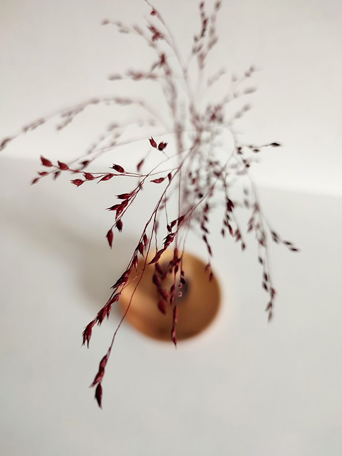 Duo Coupelle &amp; Vase