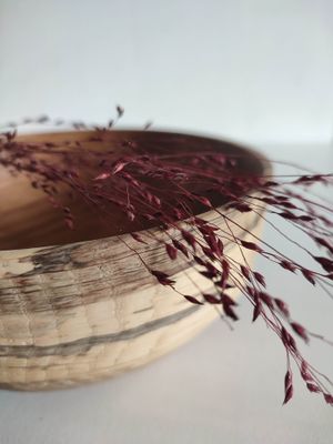 Coupe Chêne