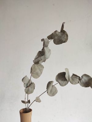 Vase Epicéa