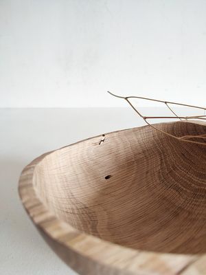 Coupe Chêne