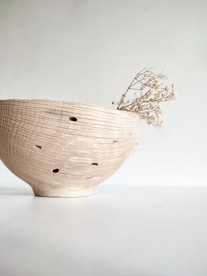 Coupe Chêne