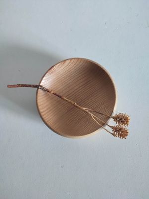 Coupe Frêne