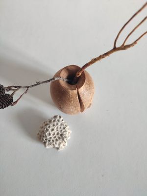 Vase Hêtre