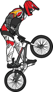 Mystery BMX Kit w/ One Free Mystery Glove