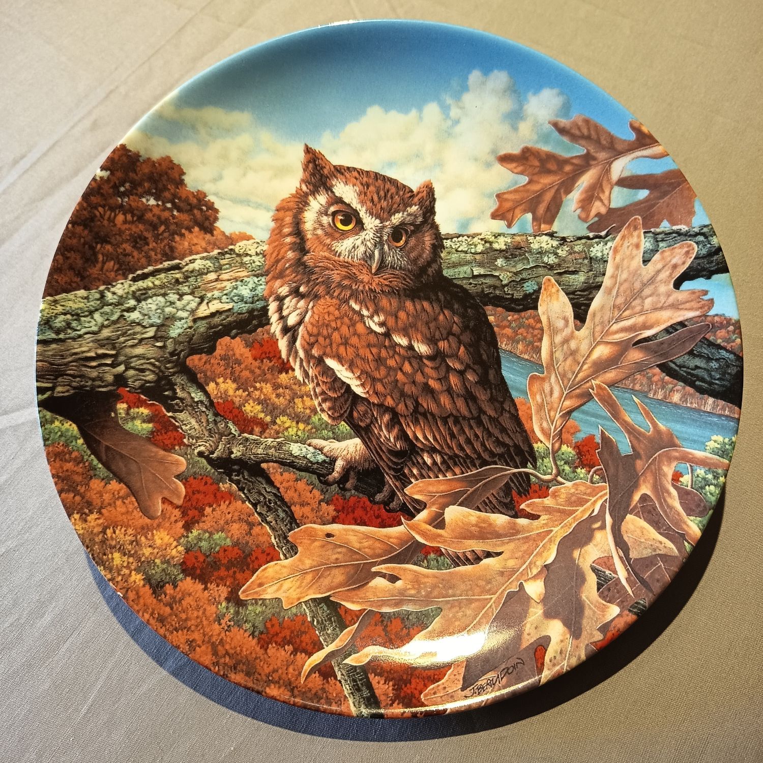 Sammlerteller "The Eastern Screech Owl"