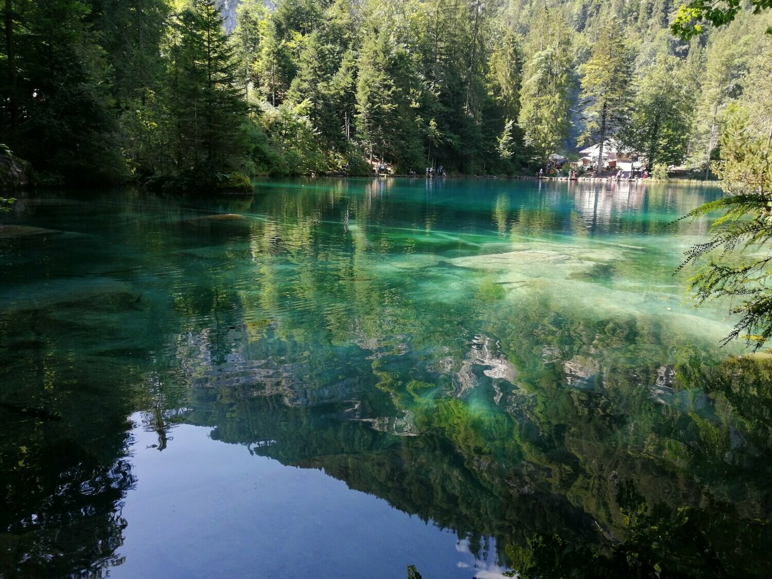 Heilung Meditation am Blau See mit der Kraft der Regenbogen Forelle