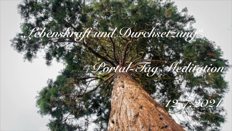 "Lebenskraft und Durchsetzung" von 12.7.2021 Portaltag Meditation Video
