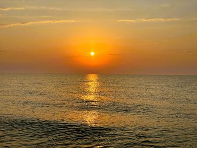 Schamanische Extraktion