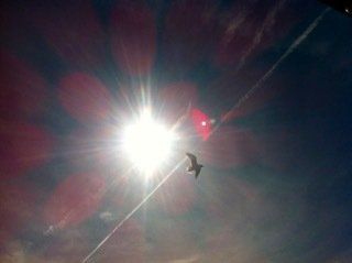 Frei von dunklen Einflüssen – Lern-Seminar: "Entitäten erkennen, Häuser reinigen und Gebäude schützen"
