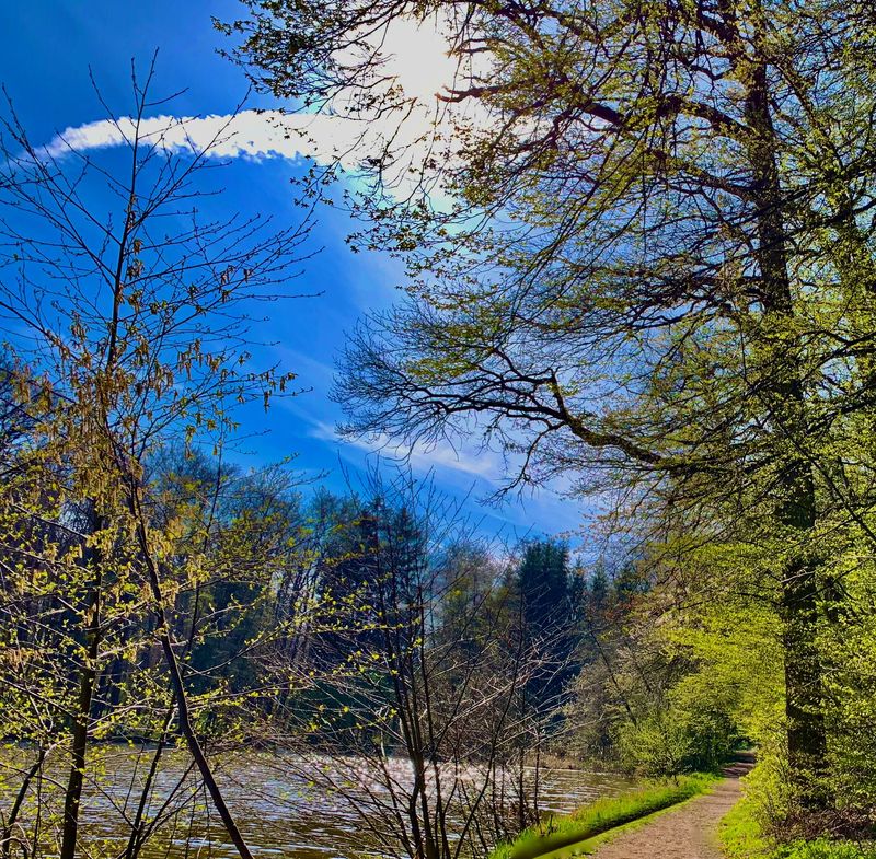 Schamanische Reise Schamanische Reise "Heilung von Traumata"