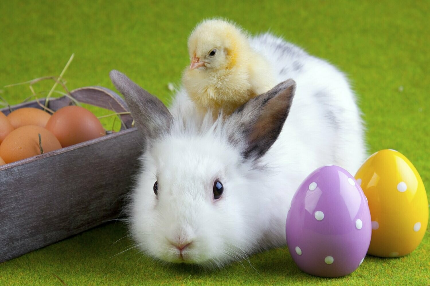 Ostern Orakel für DS- und Liebes-Beziehungen Ostern Orakel für DS- und Liebes-Beziehungen