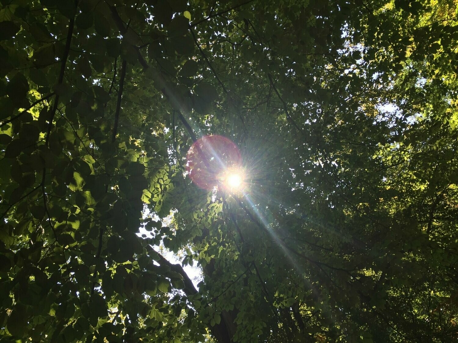 Schamanische Sitzung Schamanische Sitzung
