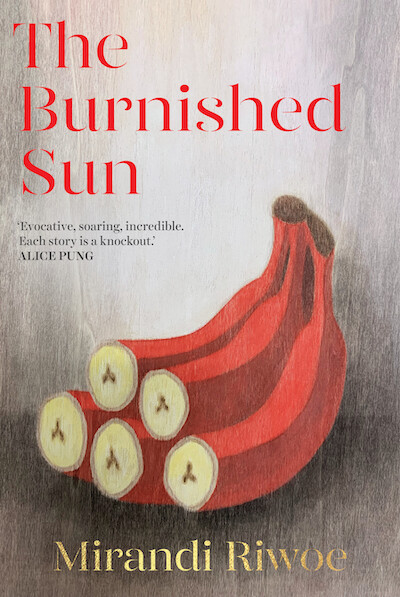 The Burnished Sun The prize-winning story collection