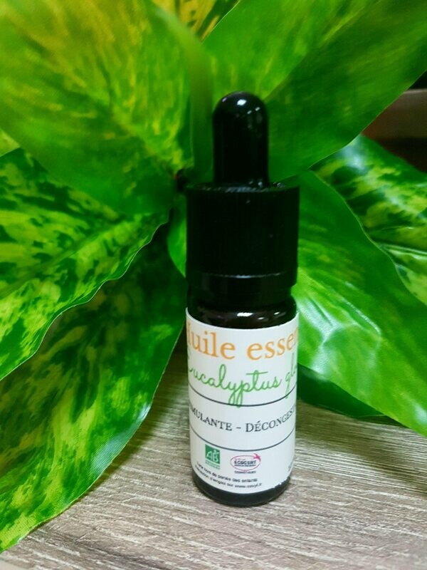 Huile essentielle Eucalyptus globulus bio