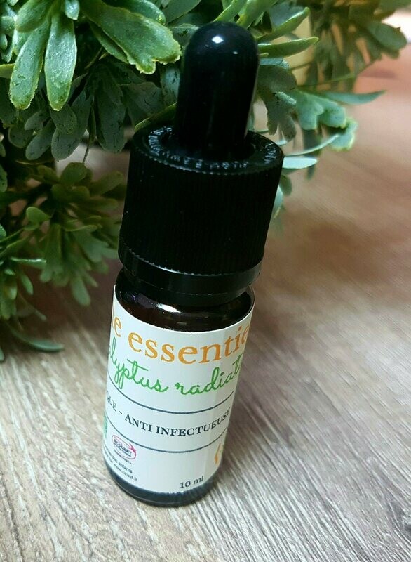 Huile essentielle Eucalyptus radiata bio