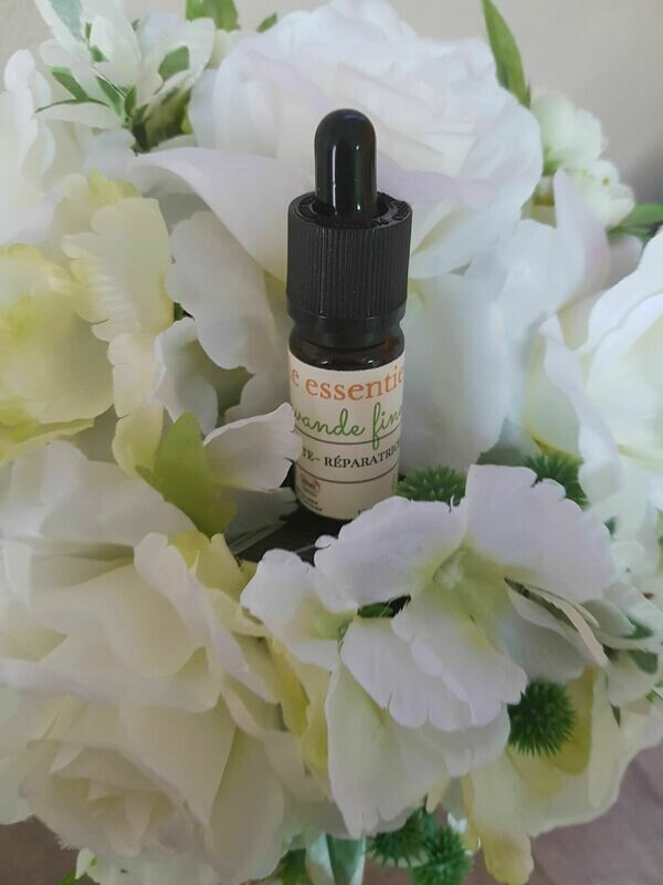 Huile essentielle Lavande fine bio