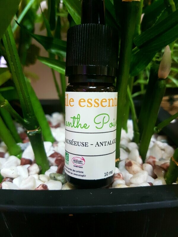 Huile essentielle Menthe Poivrée bio
