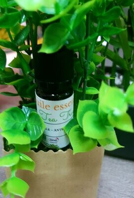 Huile essentielle Tea Tree bio
