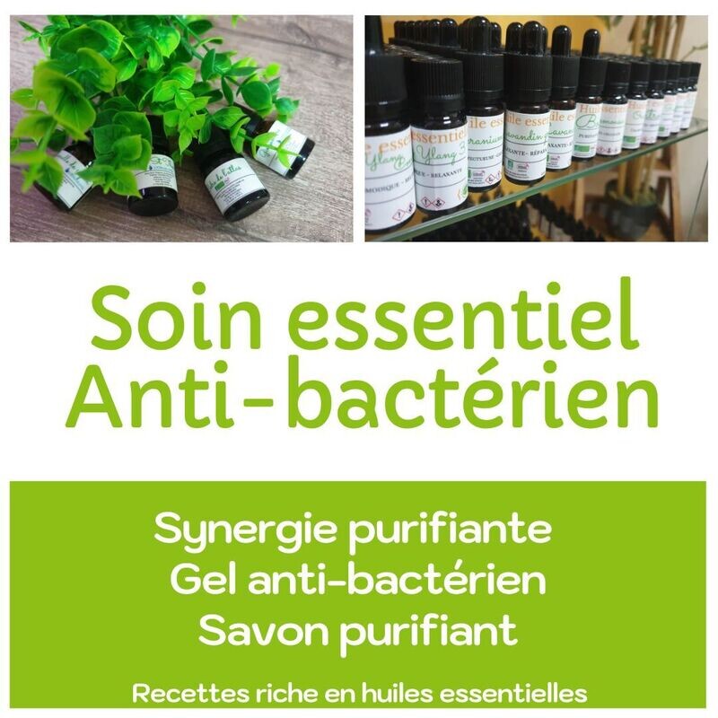 Atelier Huile essentielle Anti-Bactérien