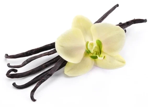 Parfum - Fragrance naturelle de Vanille des Iles