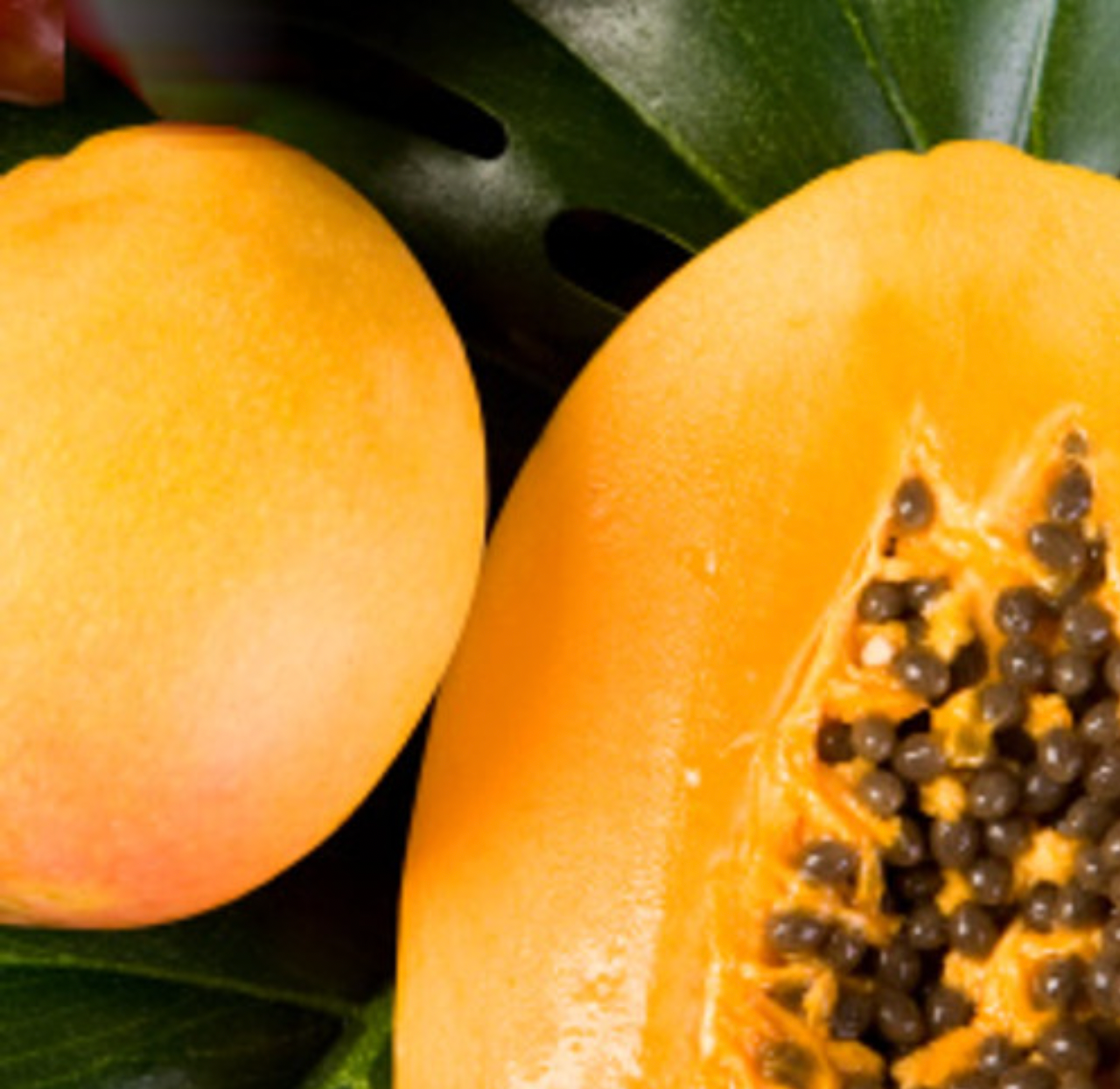Parfum - Fragrance Mangue Papaye