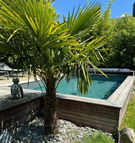 Piscine Azura 5.05x3.50 mètres