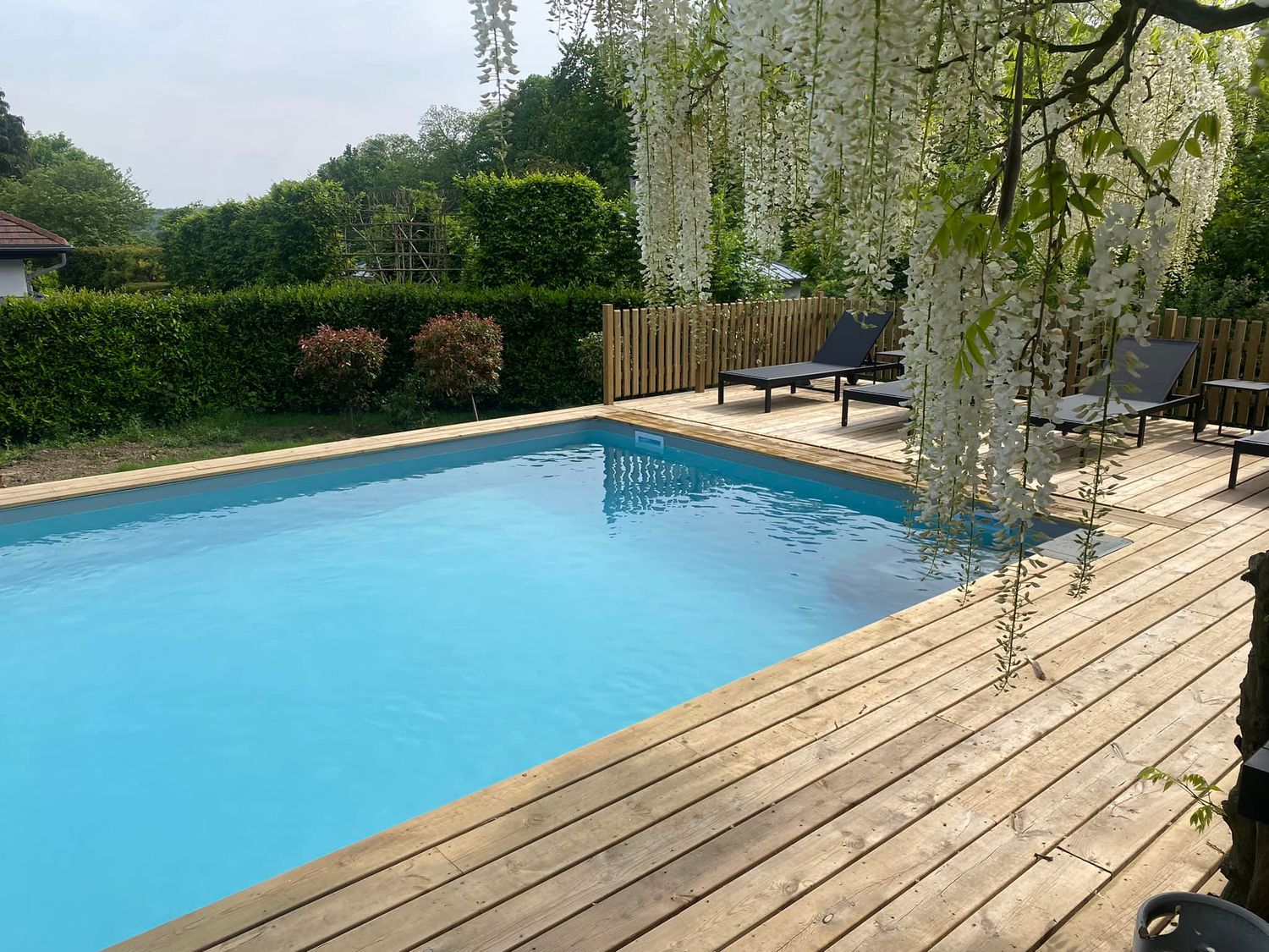 Piscine Linéa 8.00x5.00 mètres
