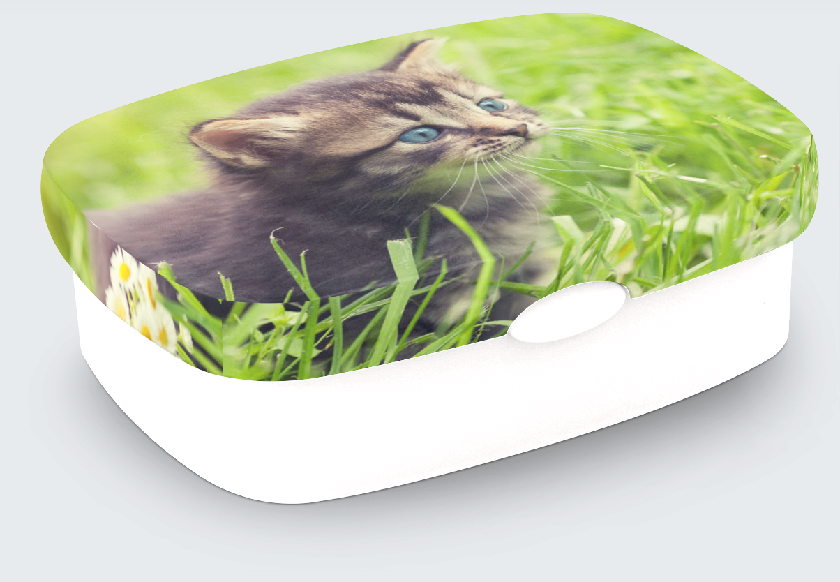 G Lunch Box white (2598x2126px)