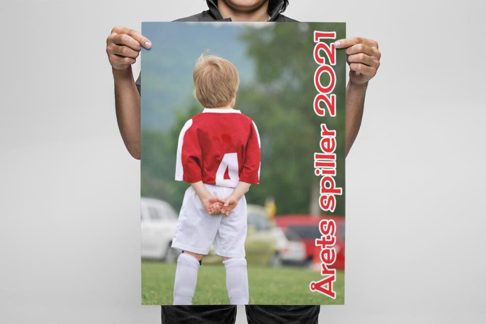 Poster 254x353mm Portrait - DEMO