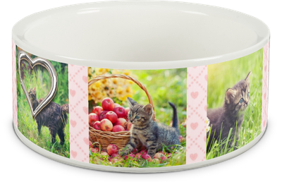 White Pet Bowl 39oz - DEMO