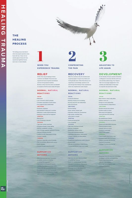 Healing Trauma Poster Healing Trauma Poster