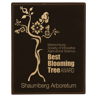 Leatherette Plaques