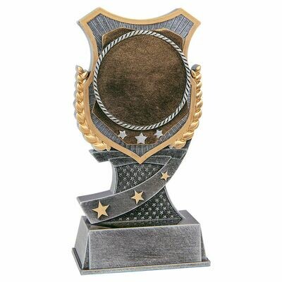 Resin Shield Award Insert Holder