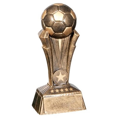 Soccer Champion Award