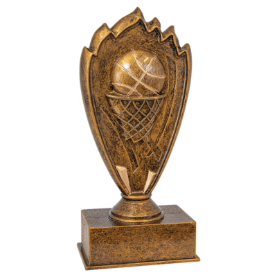 Blaze Award Basketball