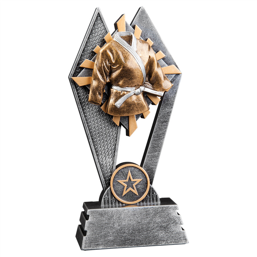 Sun Ray Award Martial Arts