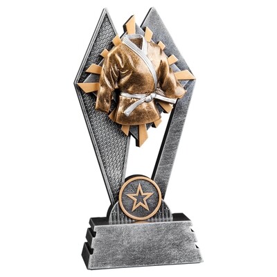 Sun Ray Award Martial Arts
