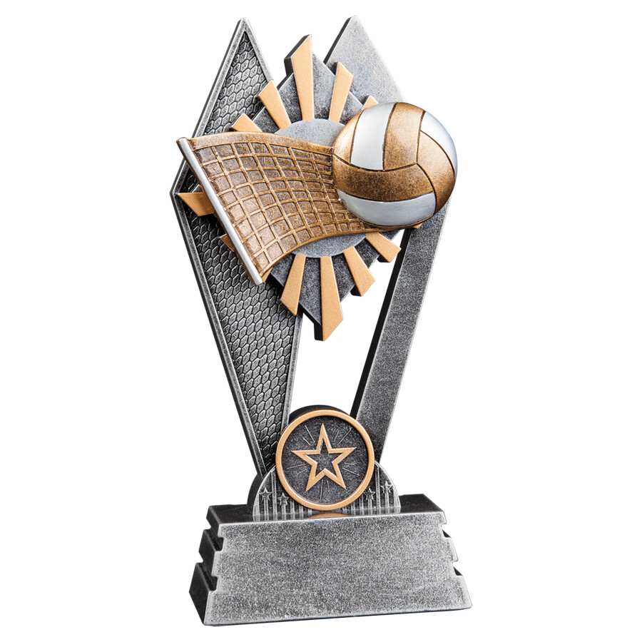 Sun Ray Award Volleyball