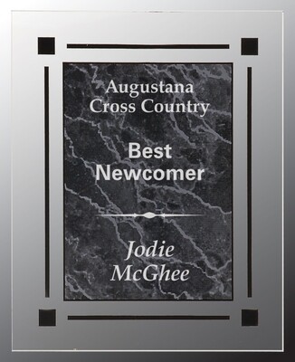 Clear Acrylic Plaques