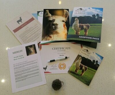 Bronze adoption Package