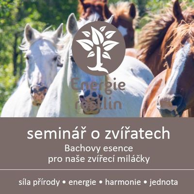 Bachovy esence pro koně - Lucie Marešová 29.11.2025