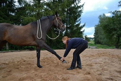 Fyzio-cvičení pro koně – aneb základy fyzioterapie, biomechanika pohybu a správný výcvik koní - Dominika Švehlová 10. – 12. 10. 2025