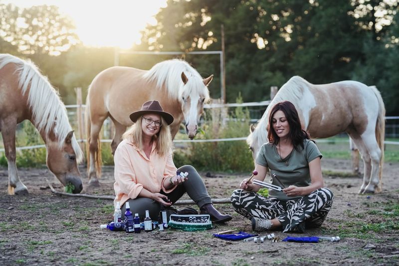 Přednáška o holistické terapii koní v praxi 9.11.2025 Přednáška o holistické terapii koní v praxi 9.11.2025