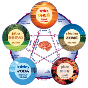 Akupresura/Akupunktura - kombinovaný kurz online/praxe- Michelle Becker 16.1. - 28.3.2026