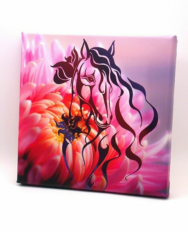 Obrázek na plátně s motivem koně "Butterlfy" 20x20 cm