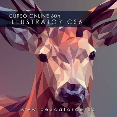 Illustrator CS6 (60H)