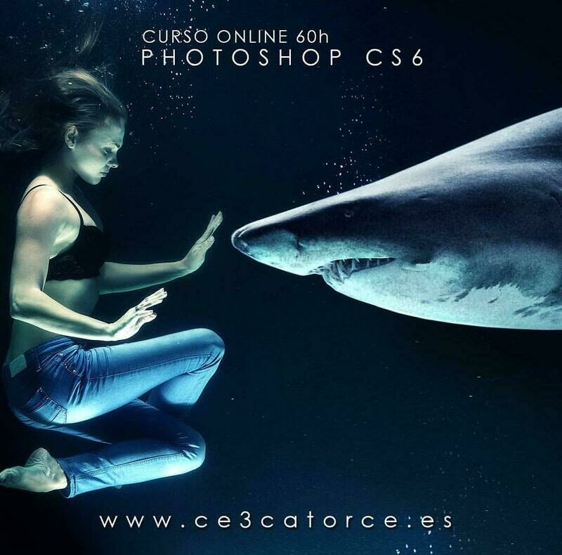 Photoshop CS6 (60H)